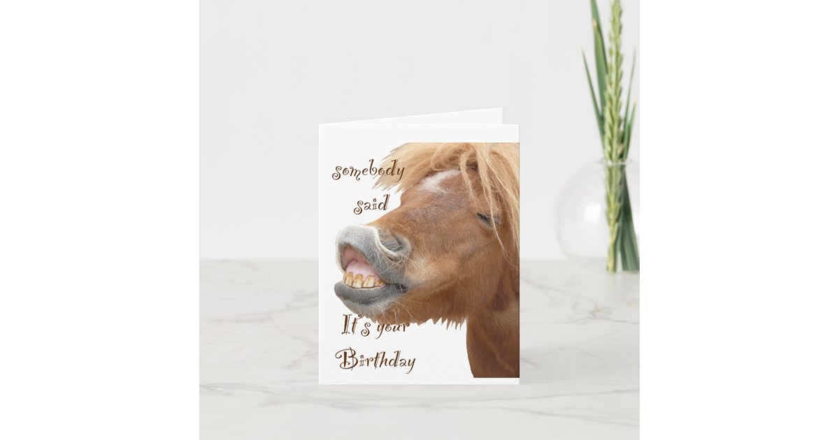 Funny Horse Birthday Card | Zazzle