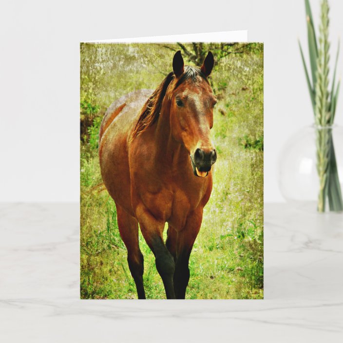 Funny Horse, Birthday Card | Zazzle.com