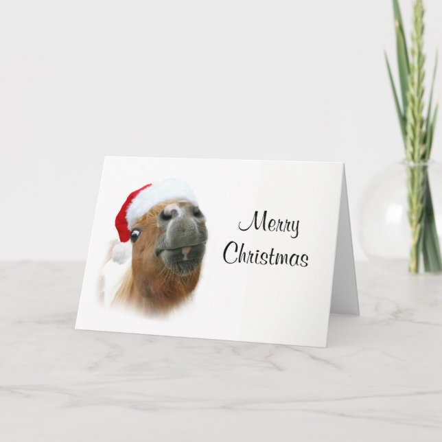 Funny horse Christmas Holiday Card (Front)