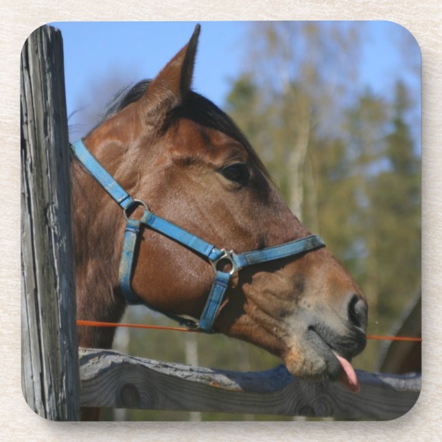Funny Horse coasters (Front)