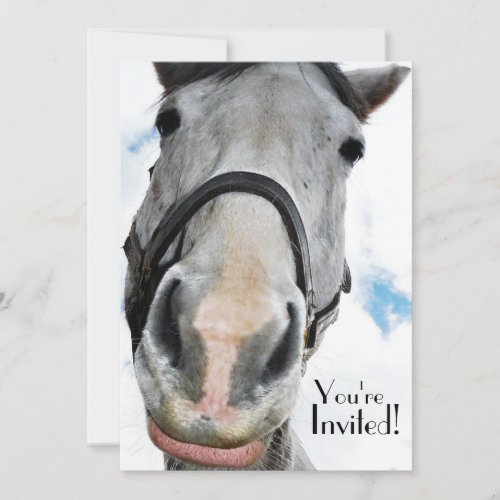 Funny Horse Face for Party or  Equestrian Event Invitation