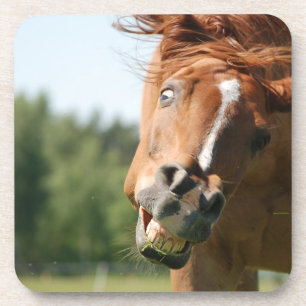 Funny Horse Face with Curled Lips, Crazy Eye Beverage Coaster