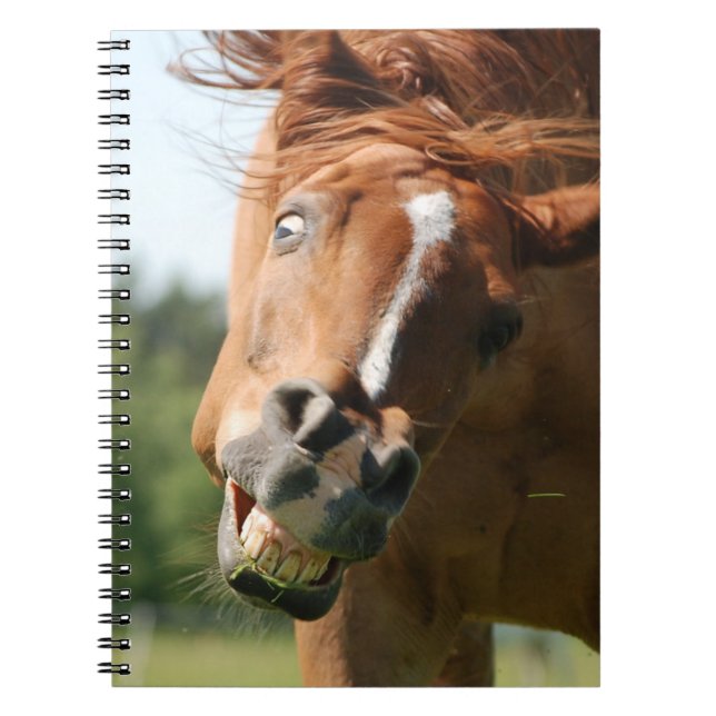 Funny Horse Face with Curled Lips, Crazy Eye Notebook (Front)