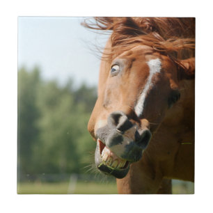 Funny Horse Face with Curled Lips, Crazy Eye Tile