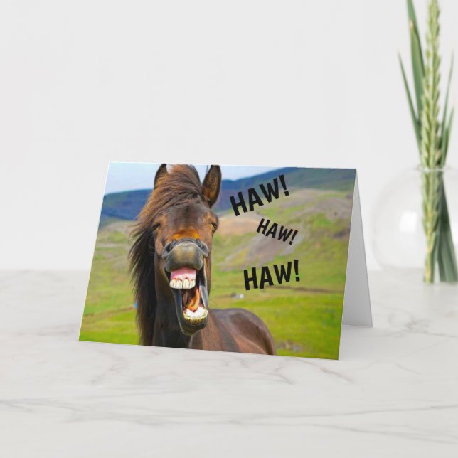 Funny Horse Humor Birthday Card (Front)