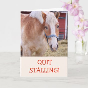 Funny Horse Joke Pun Get Well Card by Therupieshop at Zazzle