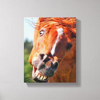 Funny Horse Laughing Photograph Canvas Print by ironydesignphotos at Zazzle