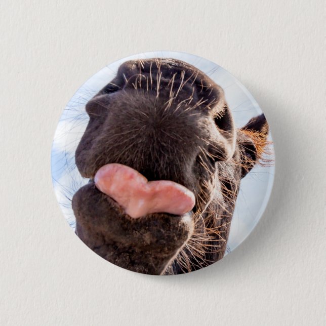 Funny Horse Lick Photograph Pinback Button (Front)