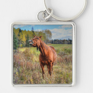 Funny Horse-lover's Sorrel Mare Equine Photo Ranch Keychain