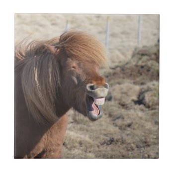 Funny Horse Making A Silly Face Ceramic Tile by HorseStall at Zazzle
