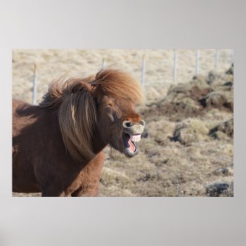 Funny Horse Making A Silly Face Poster by HorseStall at Zazzle