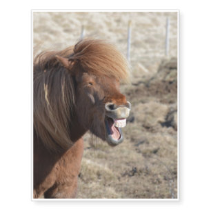 Funny Horse Making a Silly Face Temporary Tattoos