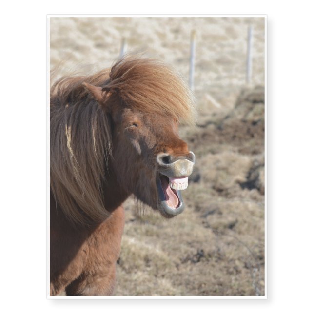 Funny Horse Making a Silly Face Temporary Tattoos (Front)