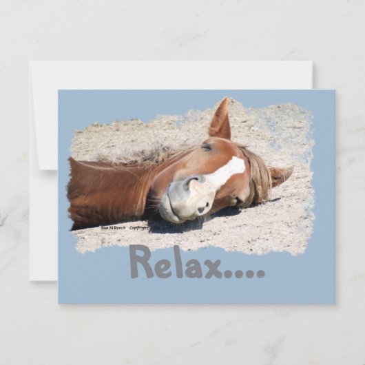 Funny Horse: Relax (Front)