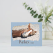 Funny Horse: Relax (Standing Front)