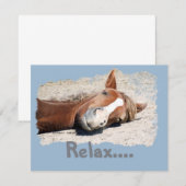 Funny Horse: Relax (Front/Back)