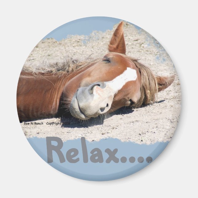 Funny Horse: Relax Magnet (Front)