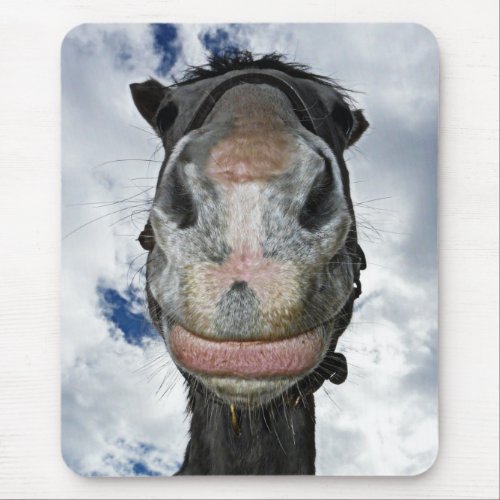 Funny Horse Smiles Mouse Pad