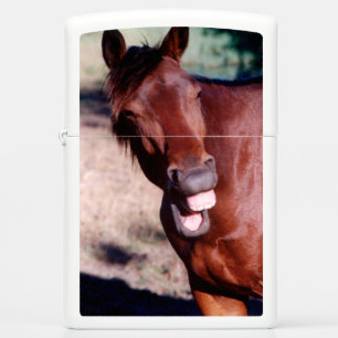 Funny Horse smiling yawning Lighter