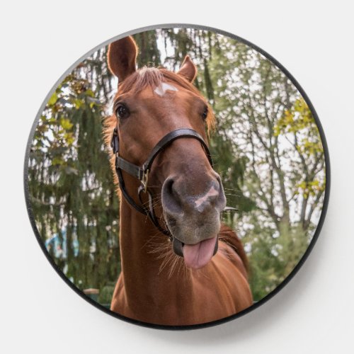 Funny Horse Sticking Out Tongue Photo PopSocket