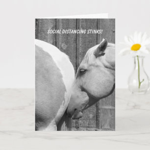 Funny Horse Stinks Social Distancing Missing You Card
