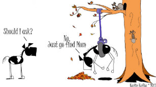 Tire Swing Comic Modern Home Ideas