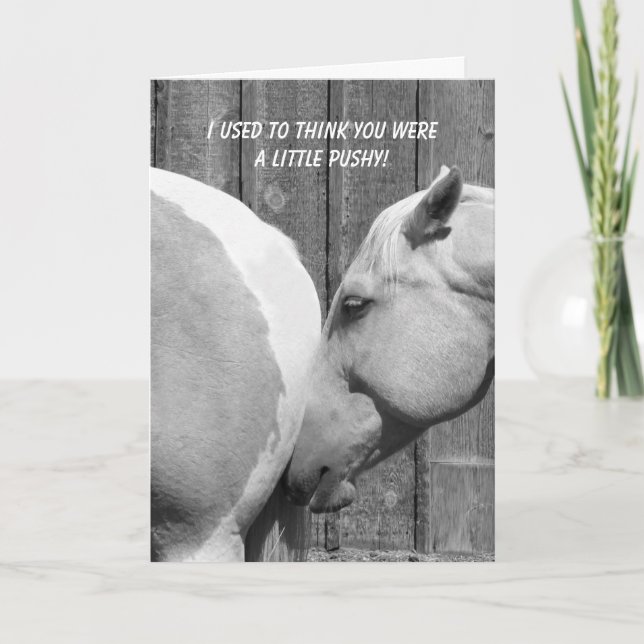 Funny Horse Thank You For The Encouragement (Front)