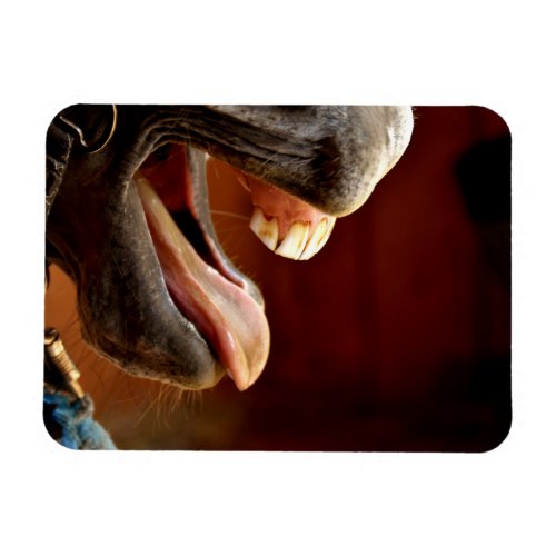 Funny Horse with Mouth Open Tongue Sticking Out Magnet