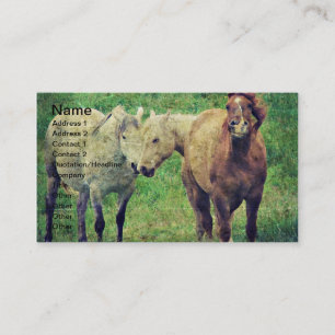 Funny Horses Business Card