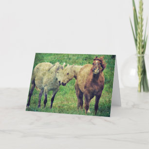 Funny Horses, Father's Day Card