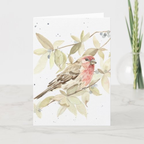 Funny _ House Finch Happy Birthday Greeting Card