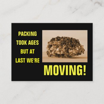 Funny House Move Business Card by Bizcardsharkkid at Zazzle