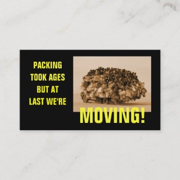 Funny House Moving Business Card by Bizcardsharkkid at Zazzle