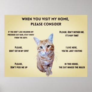 Funny House Rules personalized with cat's photo Poster