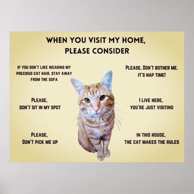 Funny House Rules personalized with cat's photo Poster (Front)