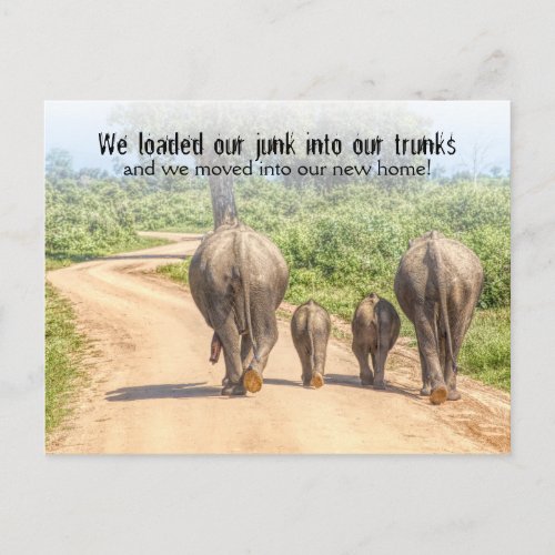 Funny Housewarming Party Elephants Moved  Postcard