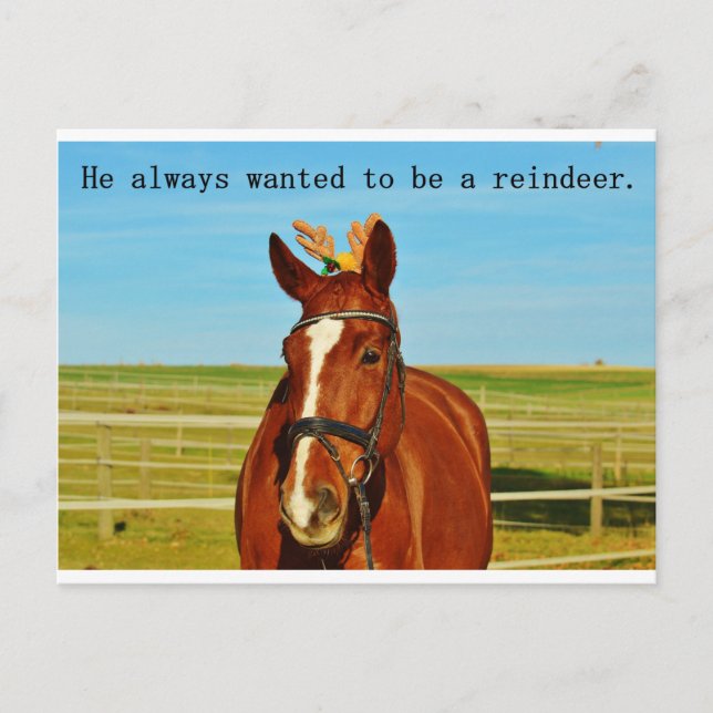 Funny Humor Horse Reindeer Christmas Xmas Holiday Postcard (Front)