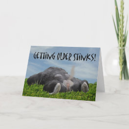 Funny Humorous Getting Older Monkey Happy Birthday Card
