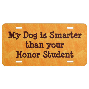 Funny Humorous License Plate Automobile Accessory