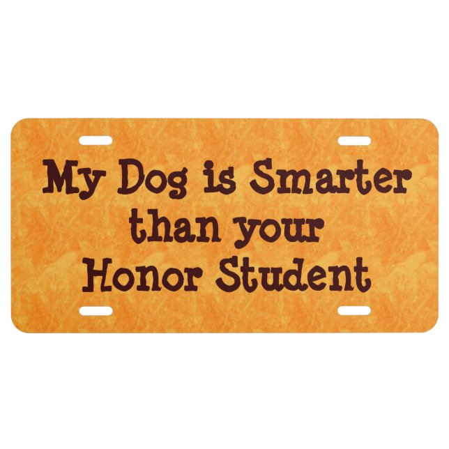 Funny Humorous License Plate Automobile Accessory (Front)