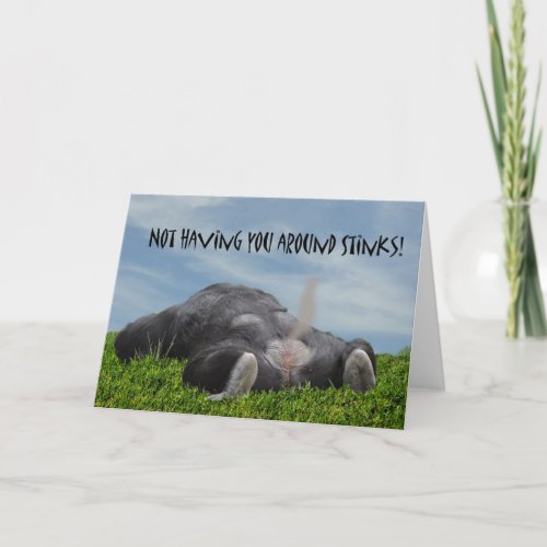 Funny Humorous Monkey Miss You Card