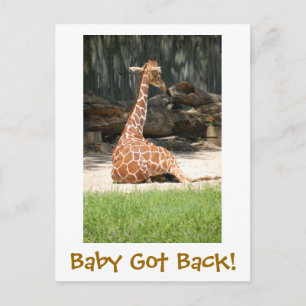 Funny Humorous Postcard