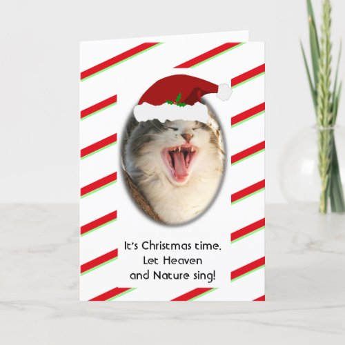 Funny Humorous Singing Cat Christmas Holiday Card