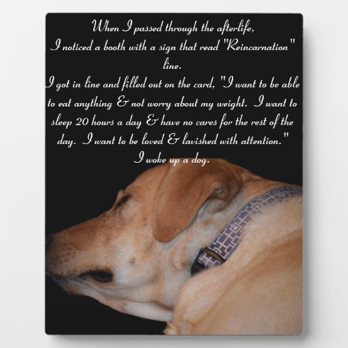 Funny Humorous Sleeping Labrador Retriever Plaque