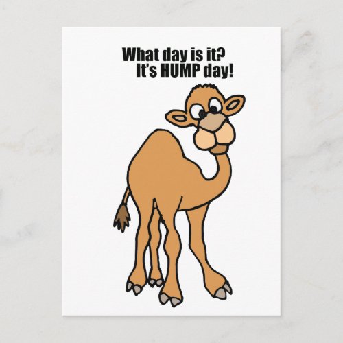 Funny Hump Day Camel Art Postcard