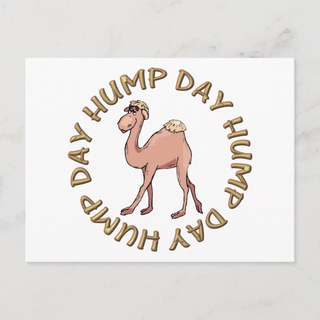 funny hump day camel postcard (Front)