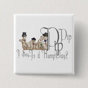 Funny Hump Day Camels  in Monocles Button