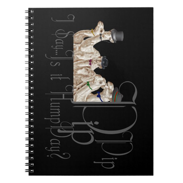 Funny Hump Day Camels  in Monocles Notebook (Front)