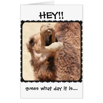 Funny Hump Day Retirement  Jumbo Card! Card by PicturesByDesign at Zazzle