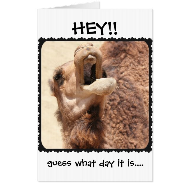 Funny Hump Day Retirement, Jumbo Card! Card (Front)